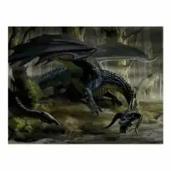 Cromatic Black Dragon Ancient